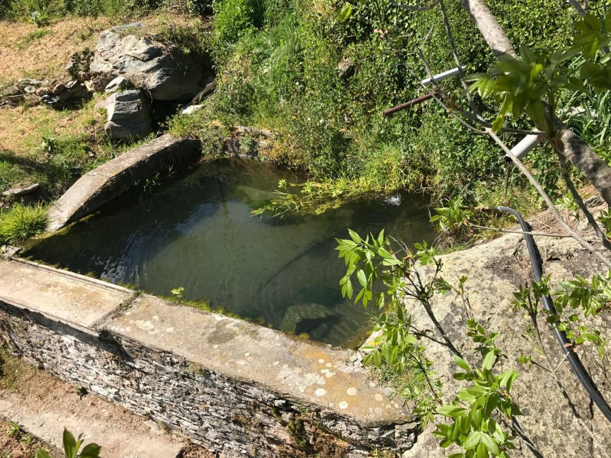 Maison De Charme Corse Sauvage *