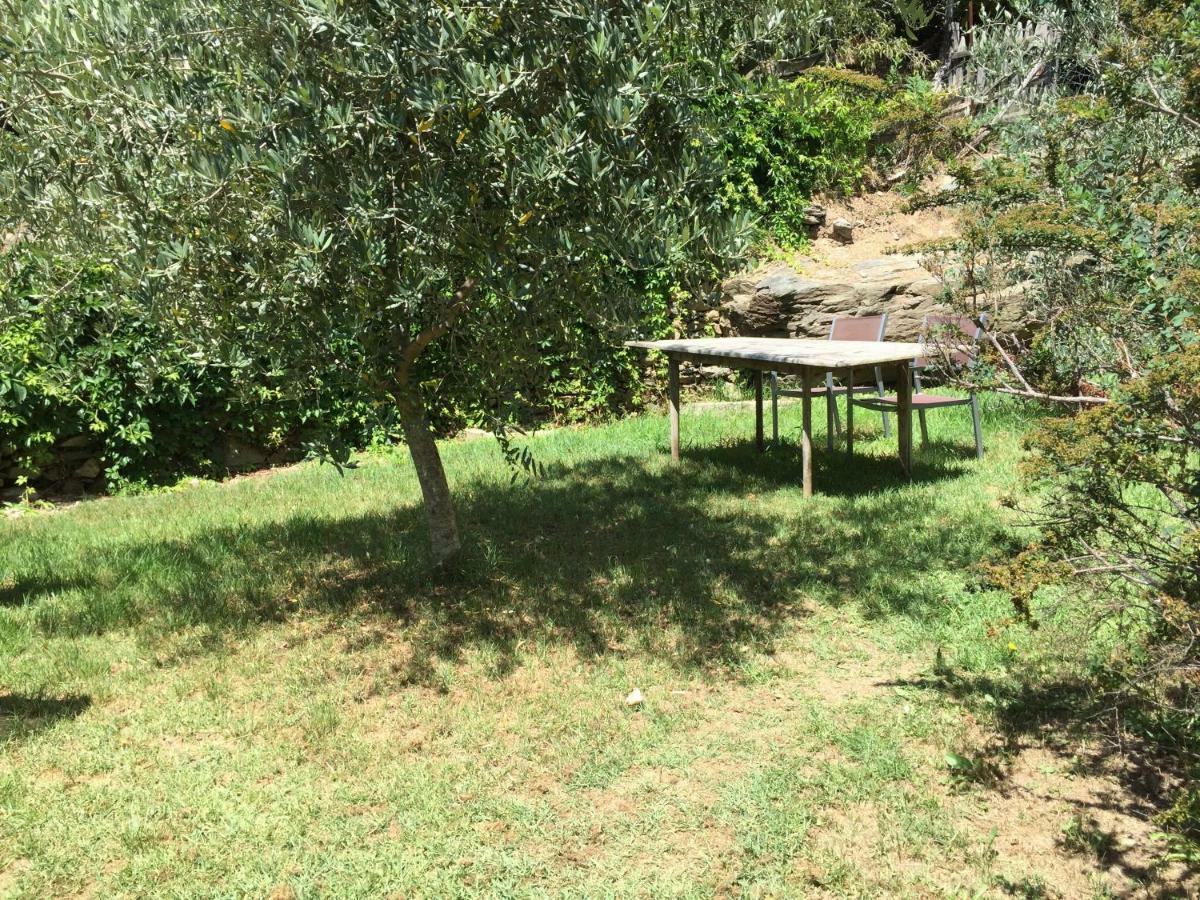 Maison De Charme Corse Sauvage Holiday home *