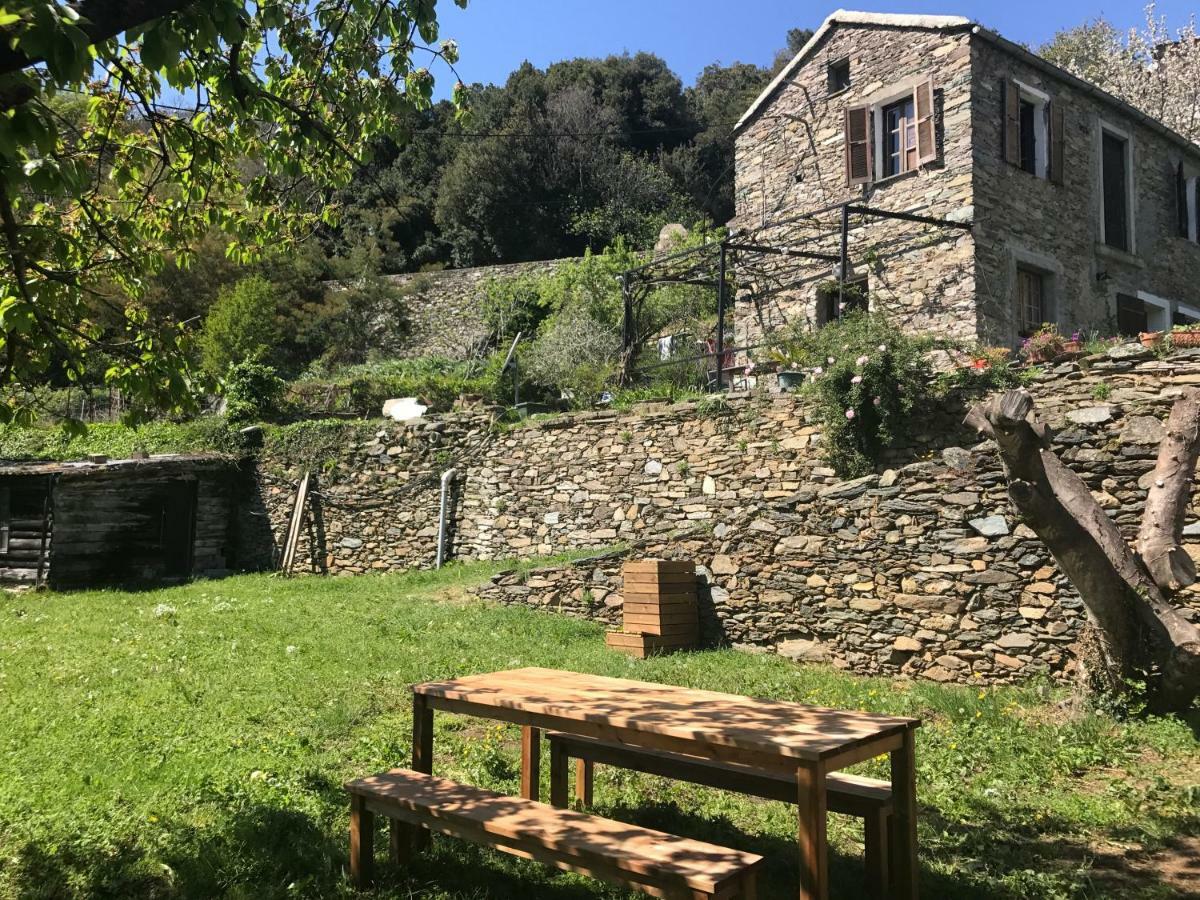 Maison De Charme Corse Sauvage Holiday home Pietra-di-Verde